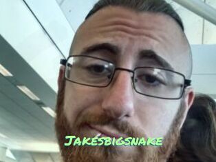 Jakesbigsnake