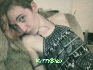 KittyBird