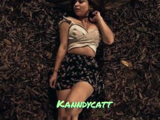 Kanndycatt