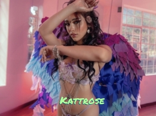 Kattrose