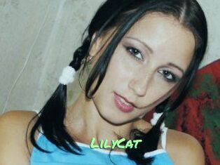 Lily_Cat_