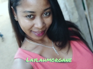 Laylahmorgane