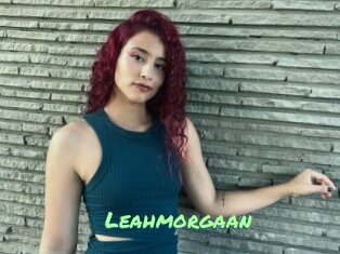 Leahmorgaan