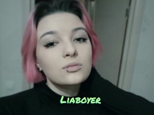 Liaboyer