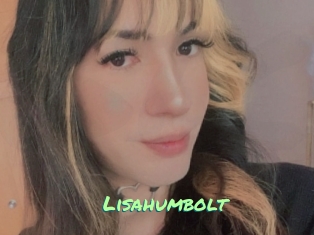 Lisahumbolt