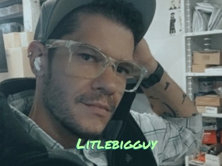 Litlebigguy