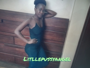 Litllepussyangel