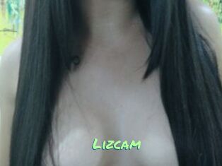 Lizcam