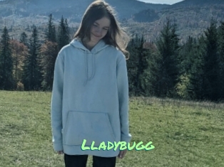 Lladybugg