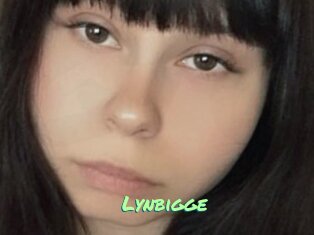 Lynbigge