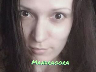 Mandragora