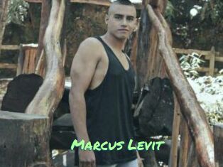 Marcus_Levit