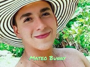 Mateo_Bunny