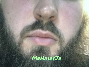 MrHairyJr