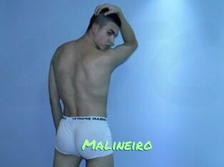 Malineiro