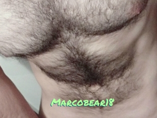 Marcobear18