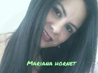 Mariana_hornet