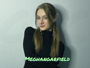 Meghangarfield