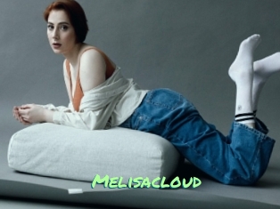 Melisacloud