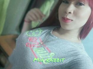 Mia_rabbit