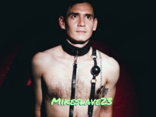 Mikeslave23