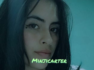 Minjicarter