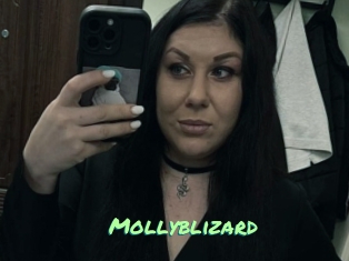 Mollyblizard