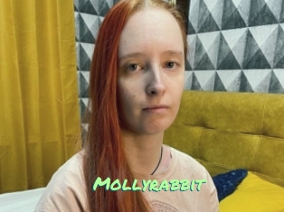 Mollyrabbit