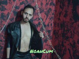 NoahCum