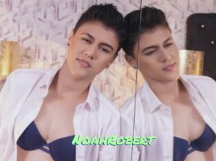 NoahRobert