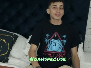 Noahsprouse