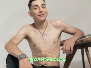 Noahsprouse