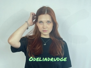 Odeliadrudge