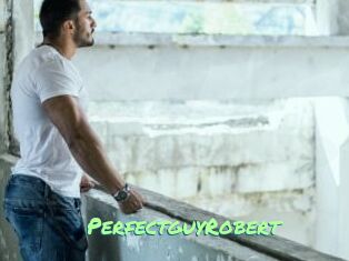 PerfectguyRobert