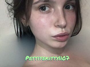 Pettitekitty1107