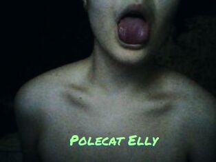 Polecat_Elly