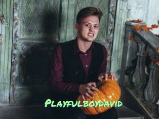 Playfulboydavid