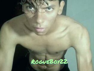 RogueBoy22