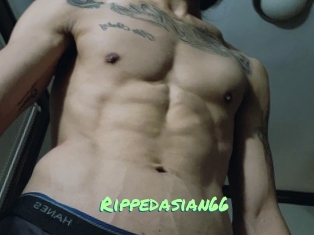 Rippedasian66