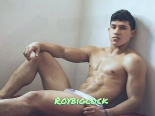 Roybigcock