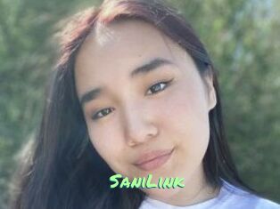 SaniLink