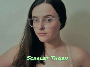 Scarlet_Thorn