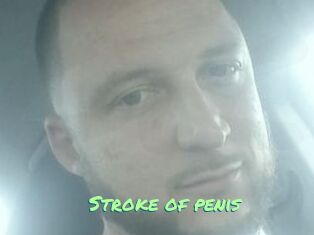 Stroke_of_penis