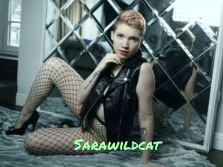 Sarawildcat