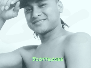 Scottrosee