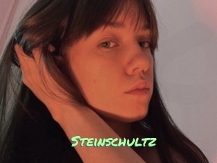 Steinschultz