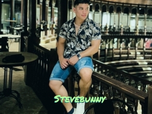 Stevebunny