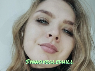 Synnovegledhill