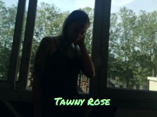 Tawny_Rose