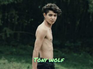 Tony_wolf